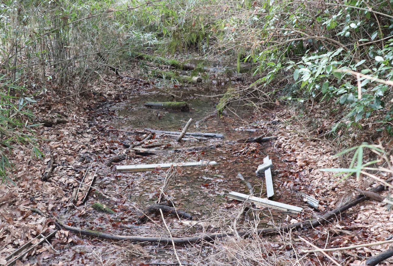 里山Y 林道を下った藪中にある水溜まり ”やや潤っている”_2022年3月24日17時頃_気温12度